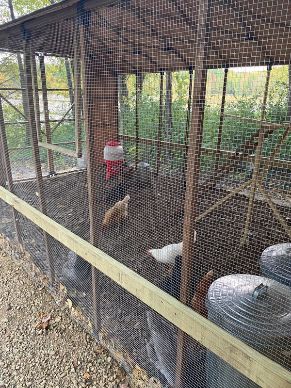 Customer Contest Submission! 10X20 Chicken Coop & Run! - E-Z Frame ...