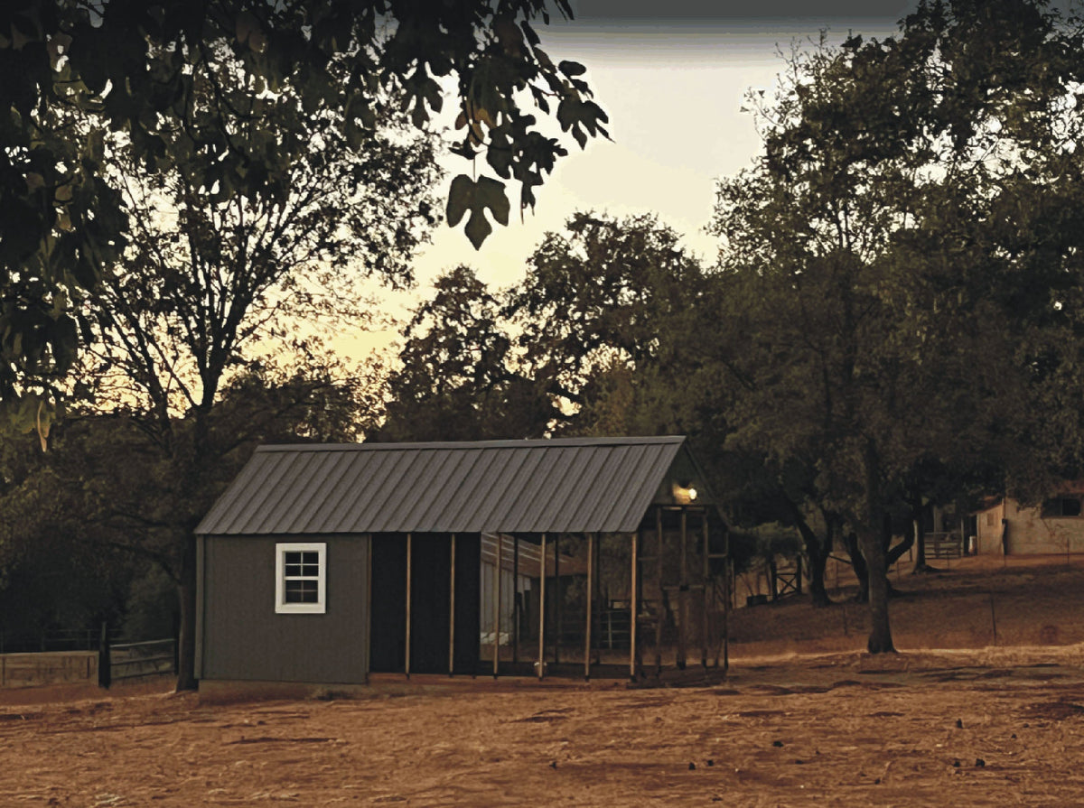 Byron's new chicken coop!